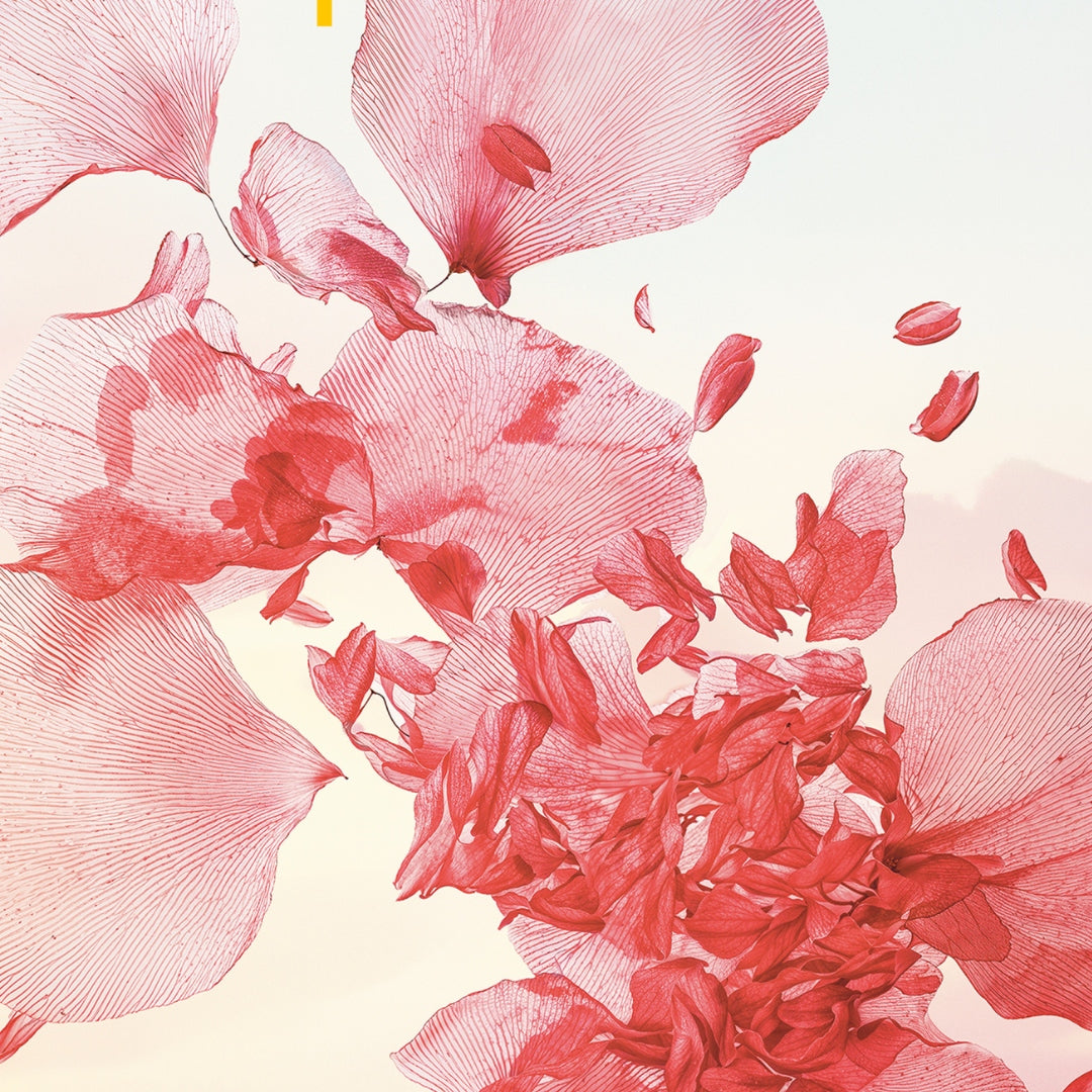 Дамски аромати