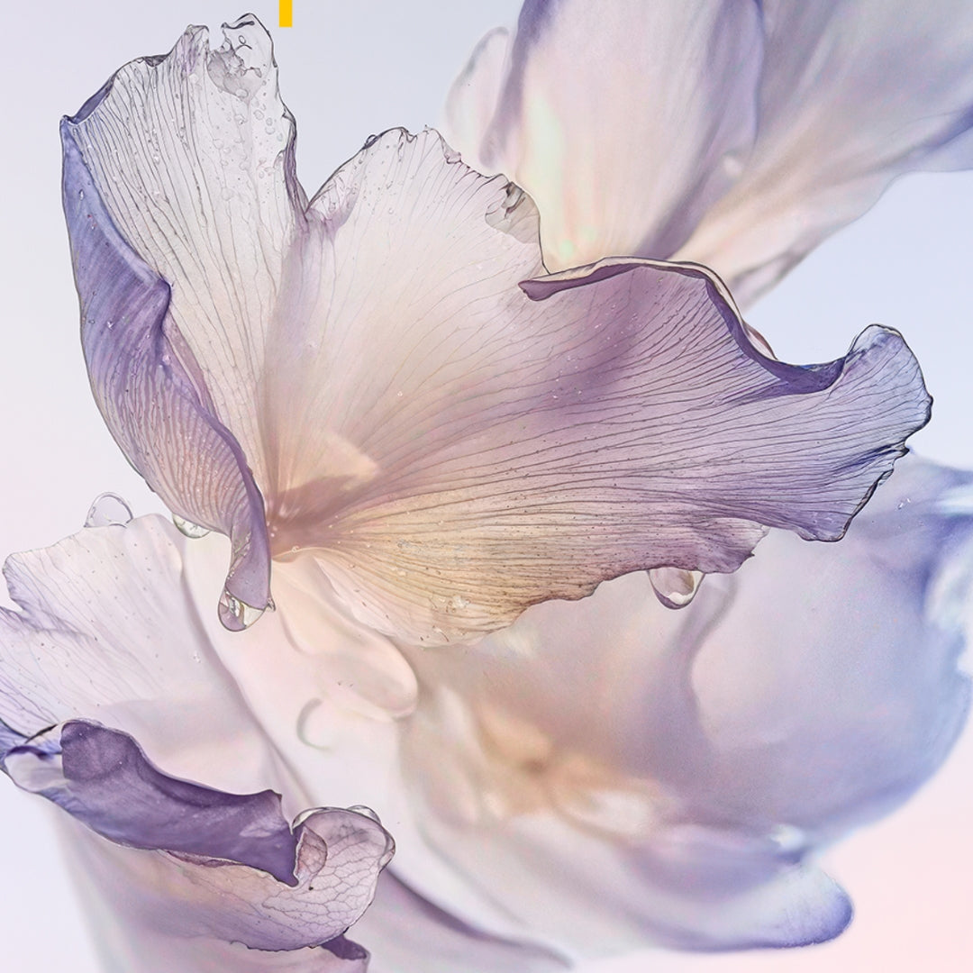 МЪЖКИ АРОМАТИ