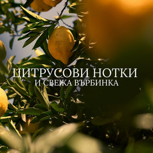 Стик дезодорант Цитрус и върбинка