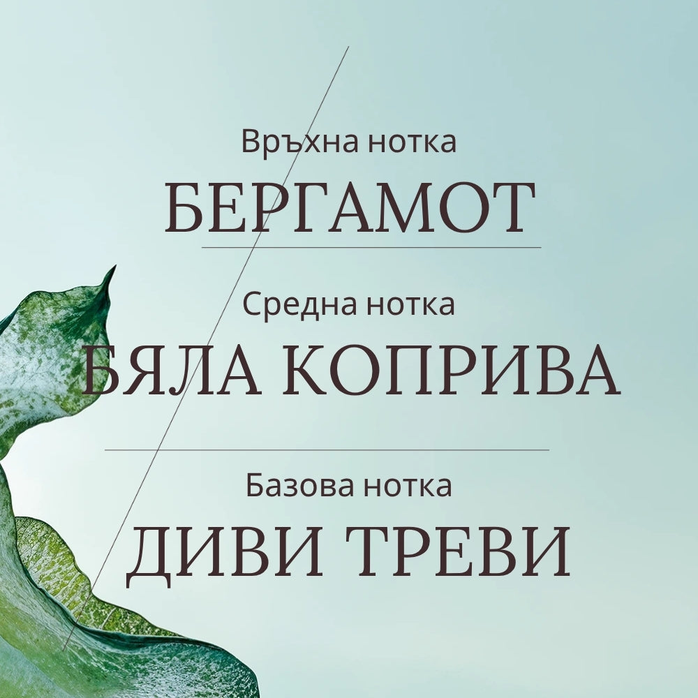 Парфюмна вода Ortie Blanche
