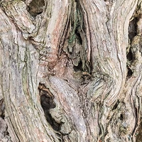  Featured Ingredient - L'Occitane