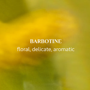 Комплект Barbonite